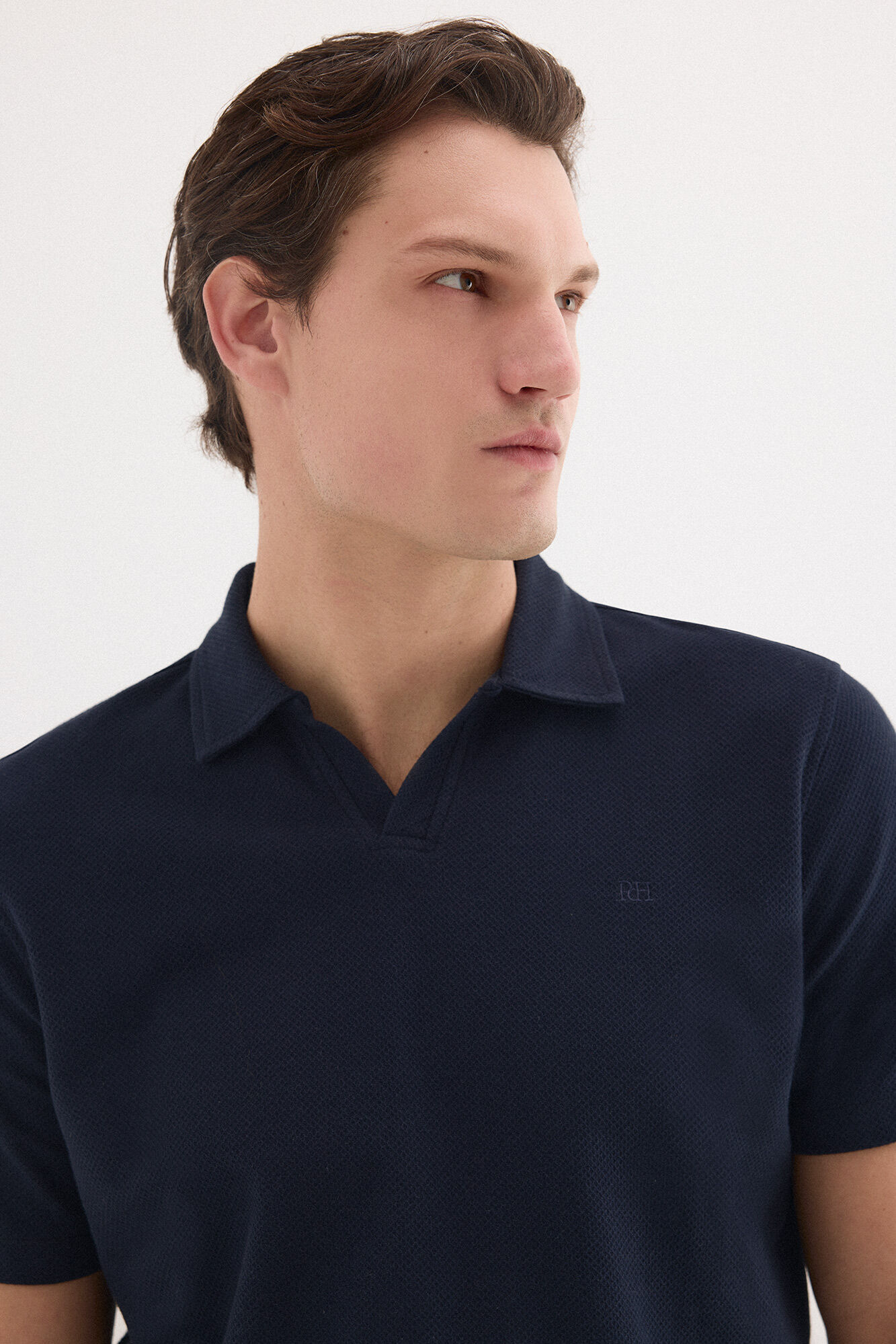 Pedro del Hierro Polo estructura